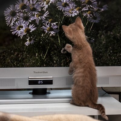 Fernsehen