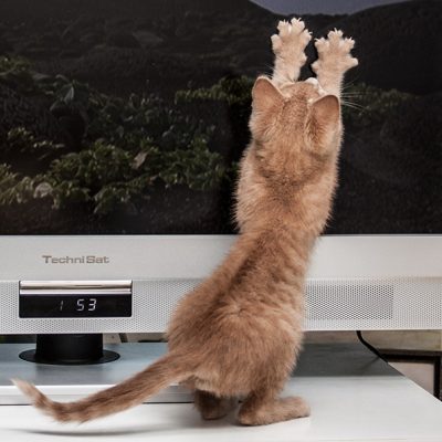 Fernsehen