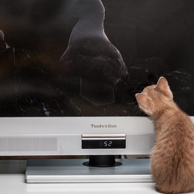 Fernsehen