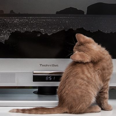 Fernsehen