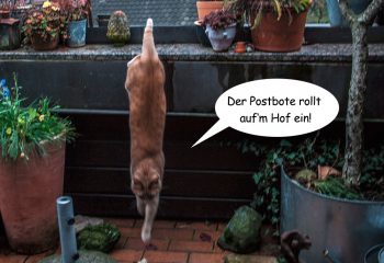 weihnachtsgeschichten
