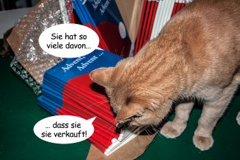 weihnachtsgeschichten