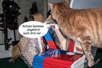 Weihnachtsgeschichten
