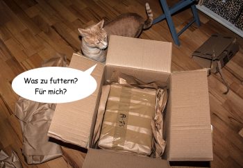 weihnachtsgeschichten