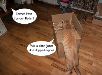 weihnachtsgeschichten