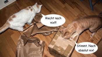 weihnachtsgeschichten