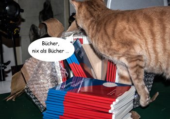 weihnachtsgeschichten