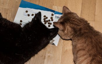 katzenfutter von Yarrah