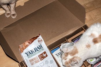 katzenfutter von Yarrah