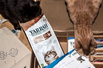 katzenfutter von Yarrah