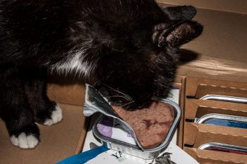 katzenfutter von Yarrah