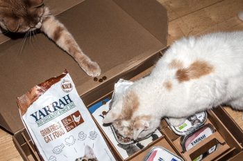 katzenfutter von Yarrah