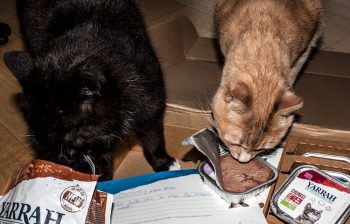 katzenfutter von Yarrah