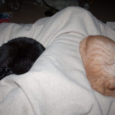 kater