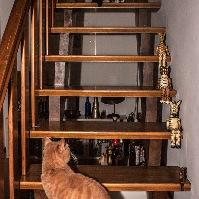 kater
