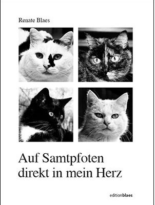 katzenbuch