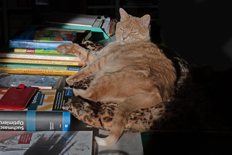 Rosso-Sonne-Schreibtisch