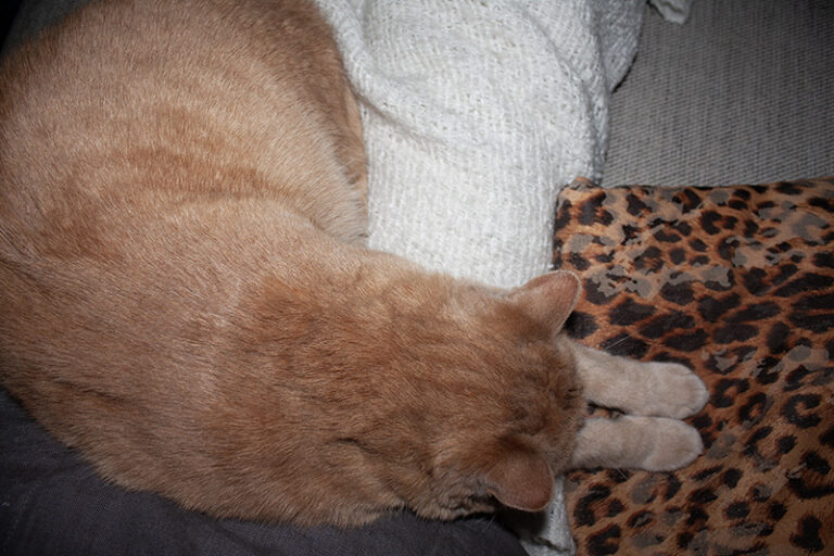 Rosso-Lieblingsplatz