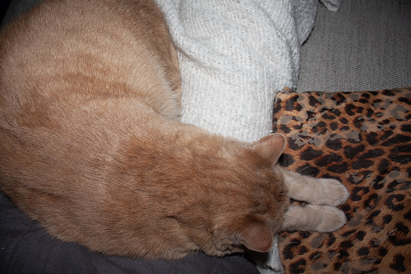 Rosso-Lieblingsplatz